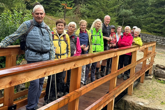 Eine Wanderung durch Wald und Geschichte